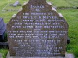 image of grave number 16975